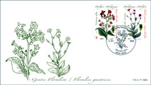 FDC0910ZB