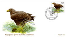 FDC09460
