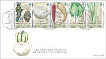 FDC1109