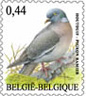 Emission ordinaire: oiseau