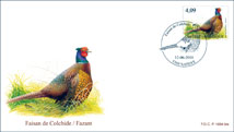 FDC09VG010