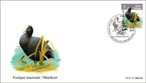 FDC0927