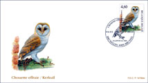 FDC0929