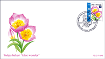 FDC0901ZB