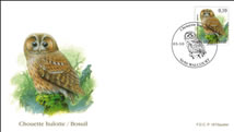FDC09VG010