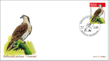 FDC11011
