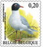 Gewone uitgifte: vogel