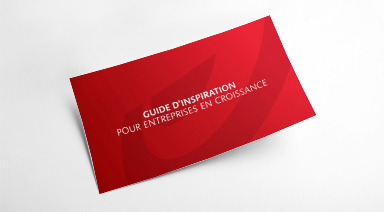Guide d’inspiration pour entreprises en développement