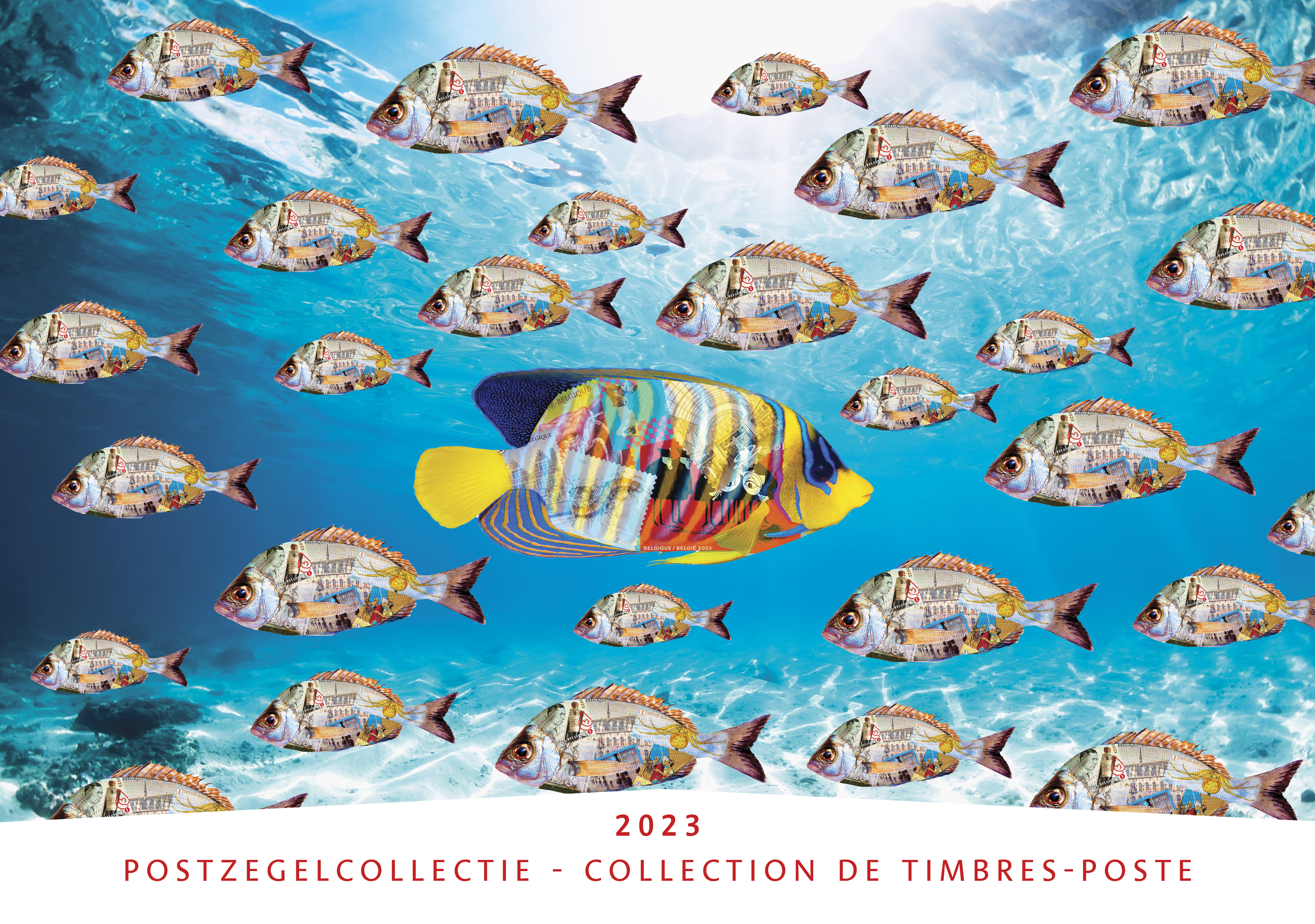 Collectie 2023