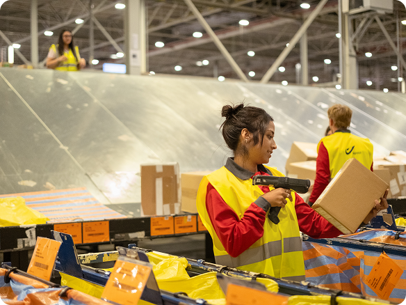 International shipping tailored to your scale